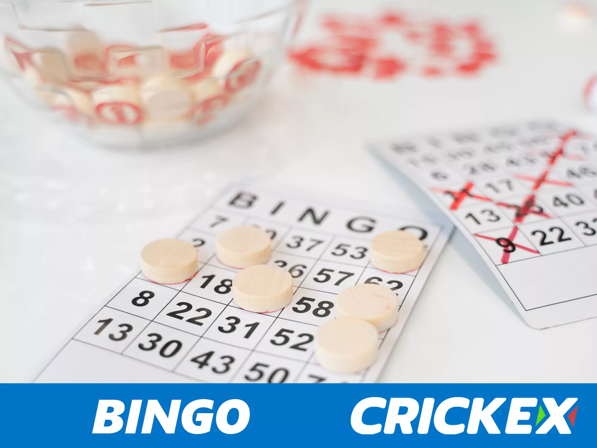 अन्य Crickex उपयोगकर्ताओं के साथ ऑनलाइन बिंगो खेलें।