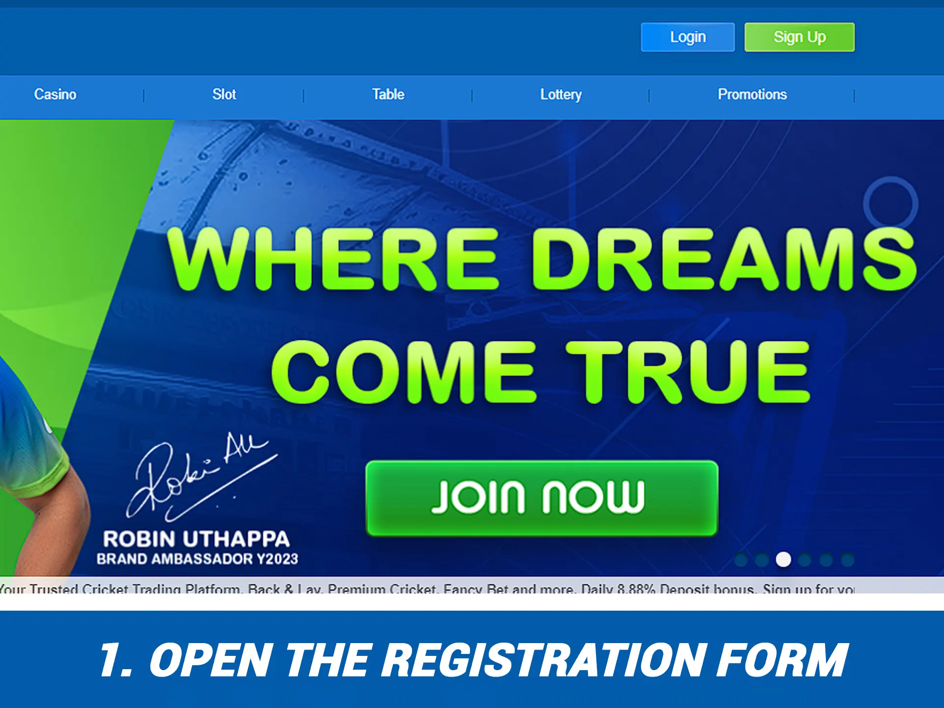 Enter on the main page of the Crickex website.