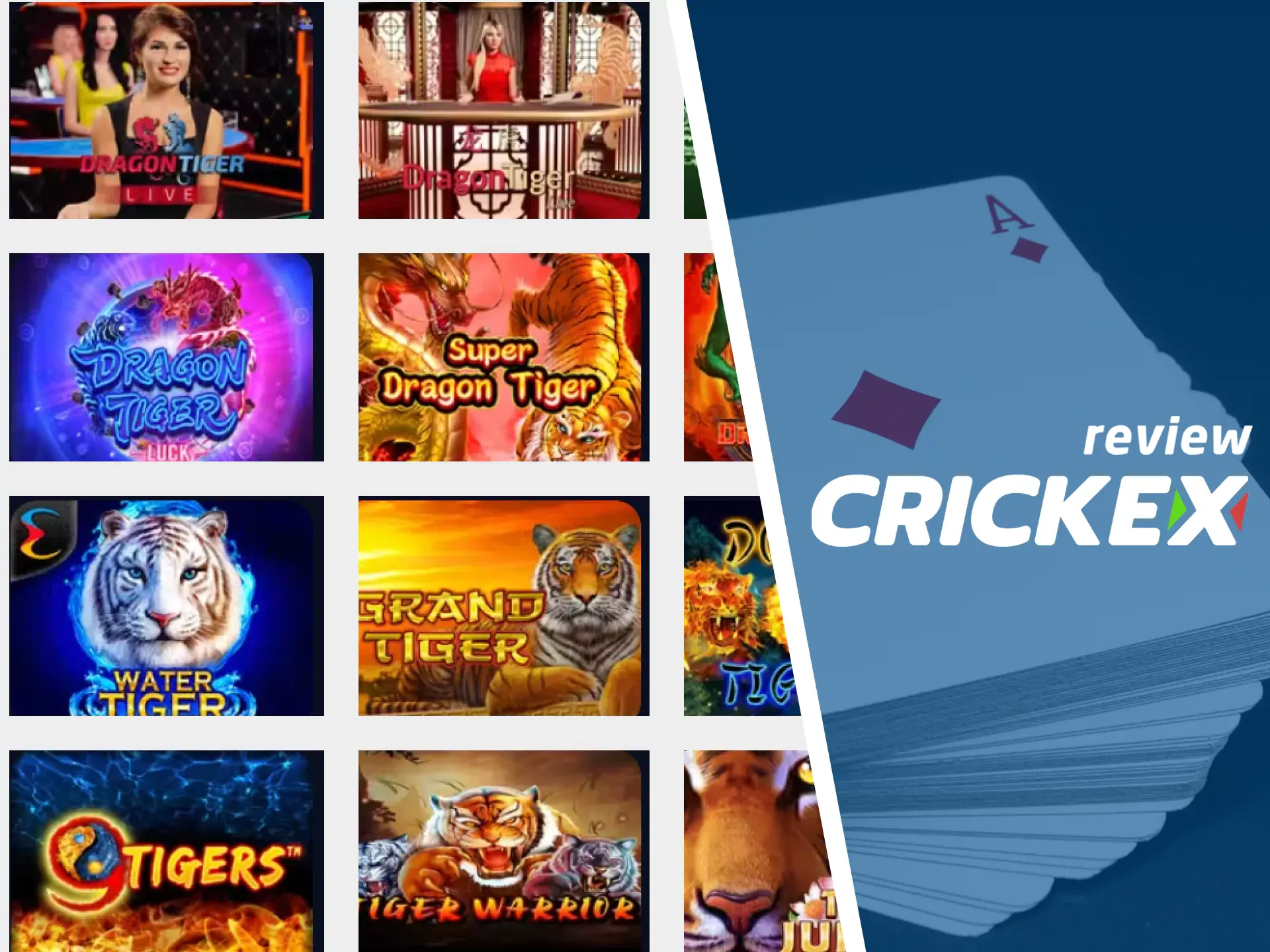 For casino games, choose dragon tiger from Crickex.