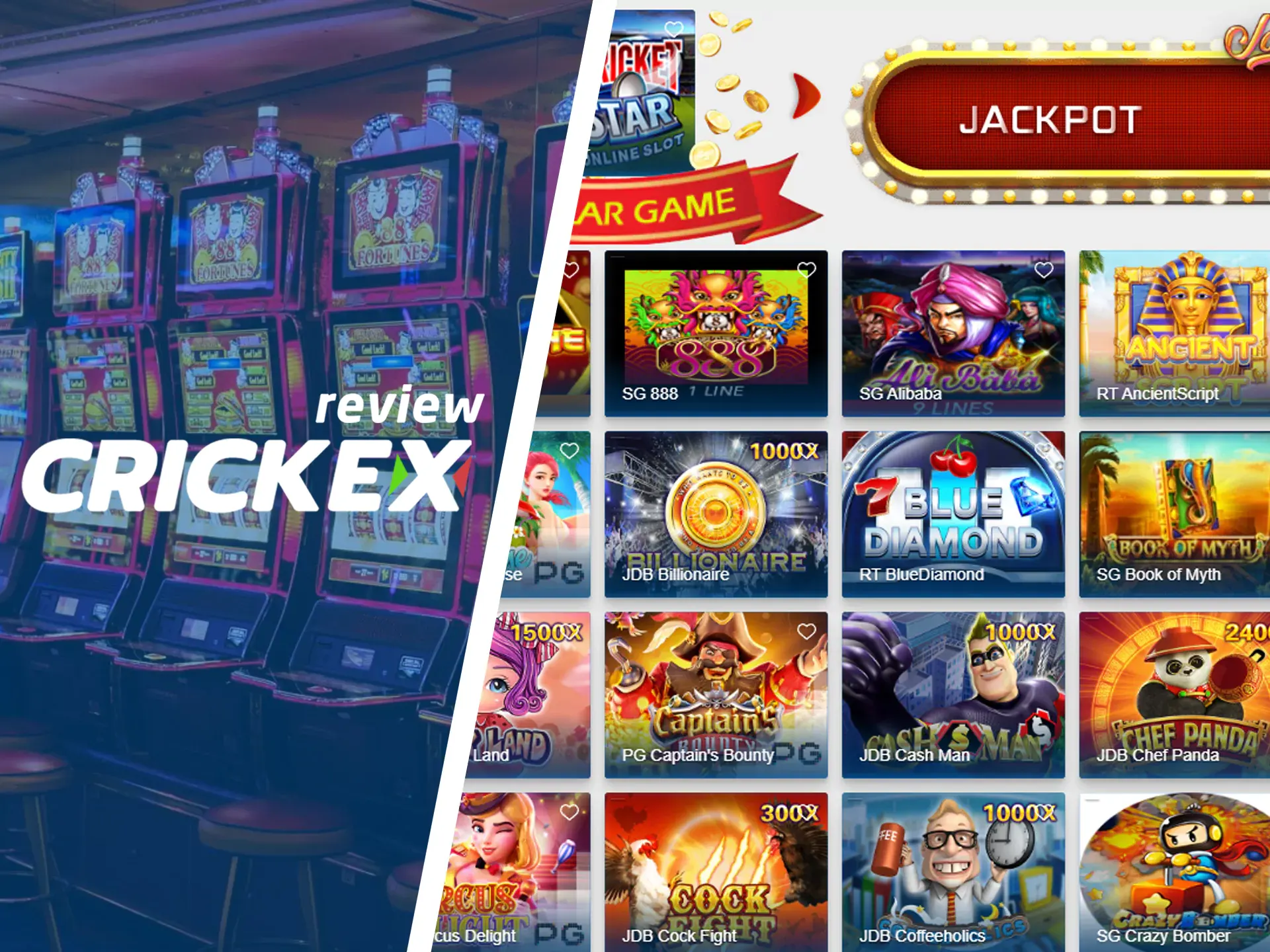 Play Crickex slots for fun and enrichment.